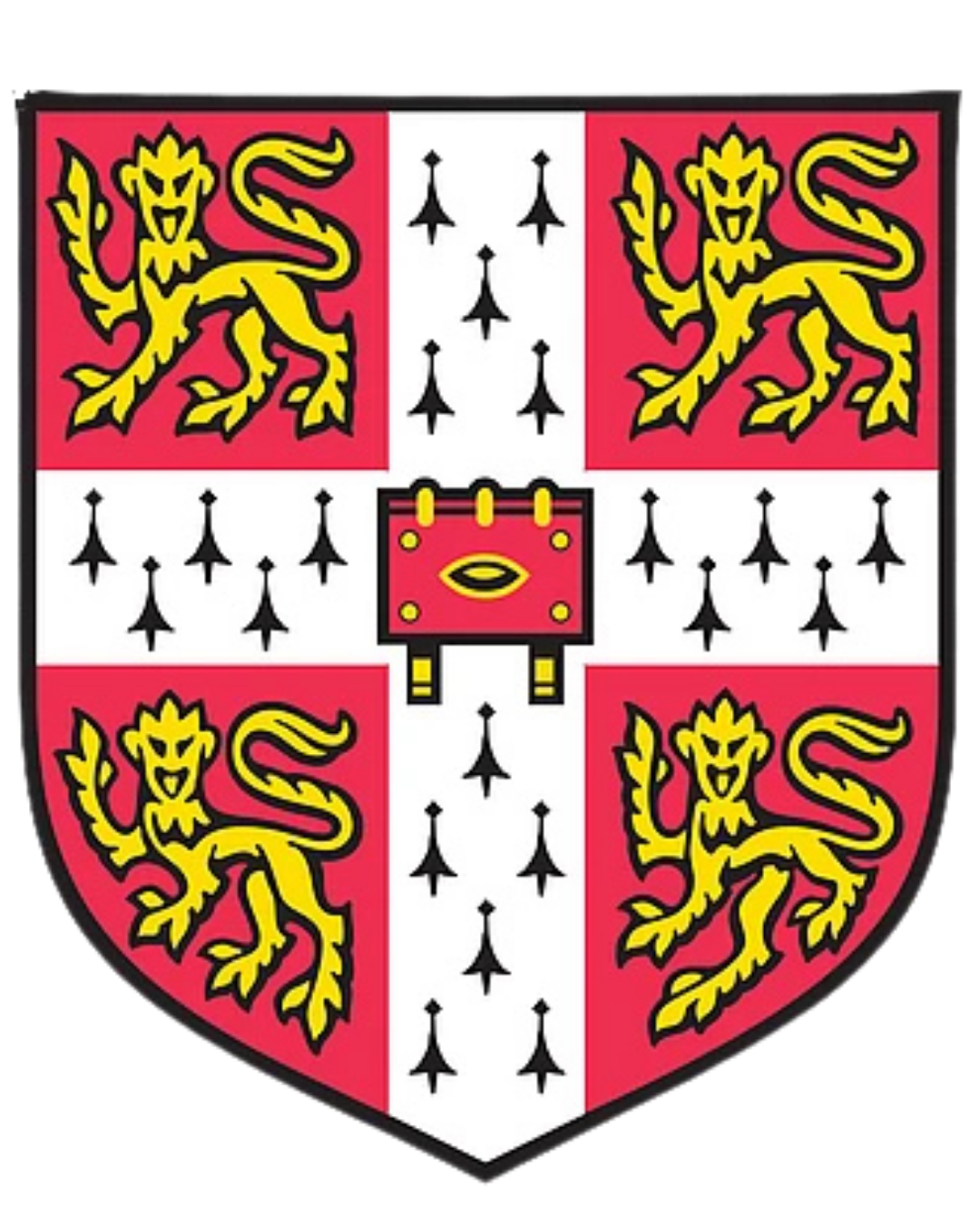 Cambridge International Education School