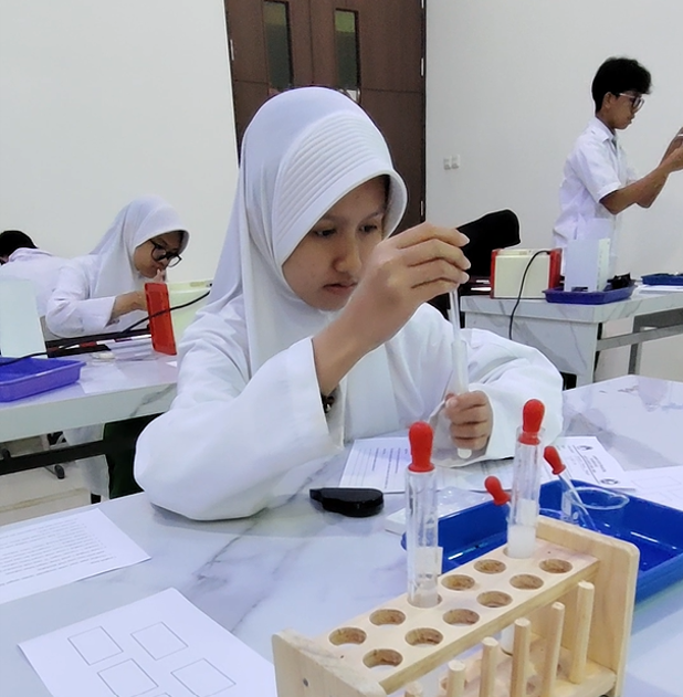 STEAM (Science, Technology, Engineering, Art, & Mathematics)