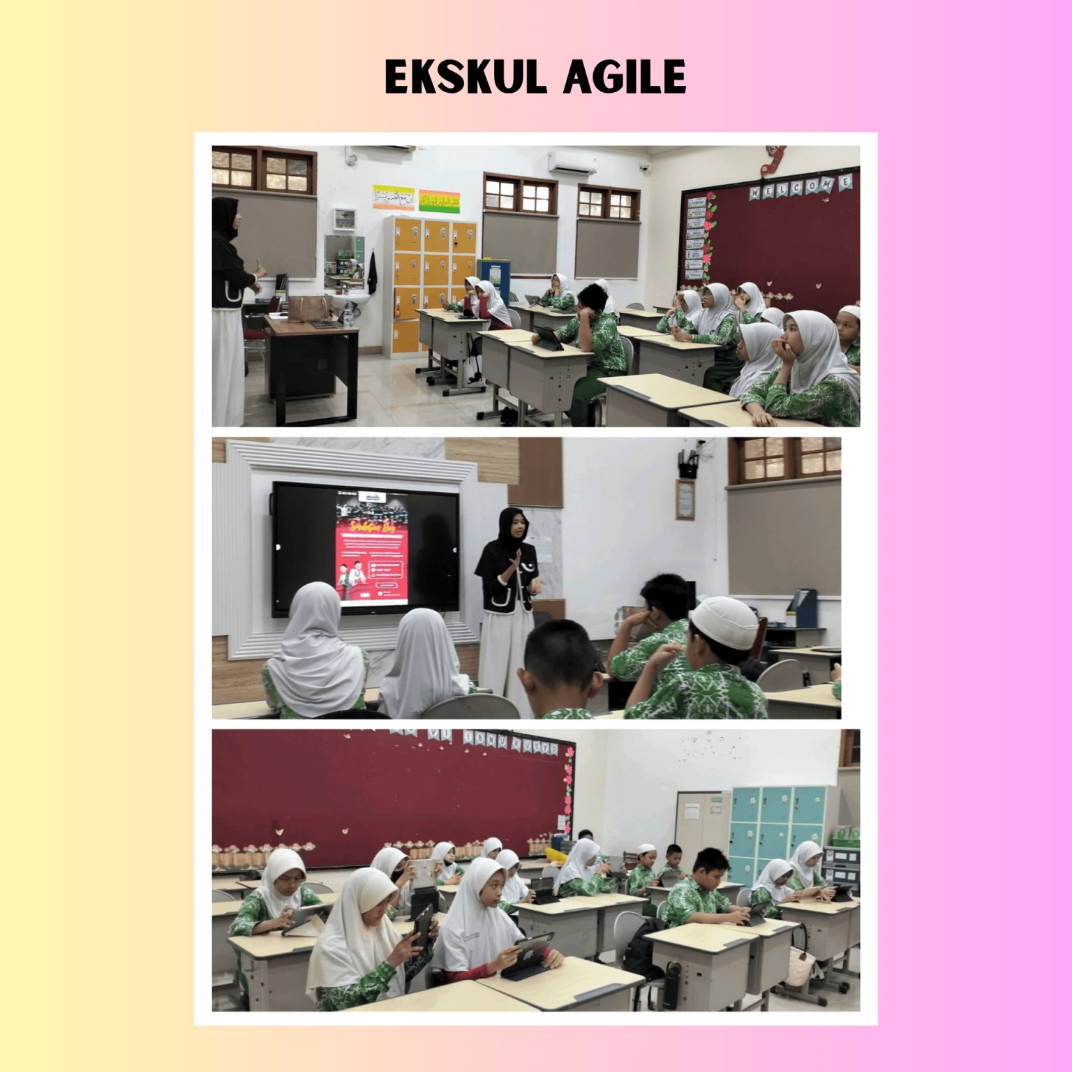 6. AGILE Program